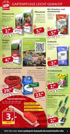 Sonderpreis Baumarkt Prospekt woche 21 Seite 3