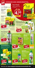 Sonderpreis Baumarkt Prospekt woche 21 Seite 5