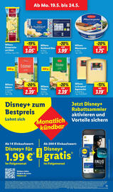 Lidl Prospekt woche 21 Seite 17