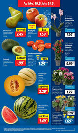 Lidl Prospekt woche 21 Seite 3