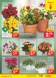 Netto Marken-Discount DE folder week 21 Pagina 9