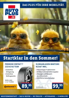 AUTO plus Prospekt (gültig bis 30-06)