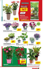 toom Baumarkt Prospekt woche 21 Seite 3