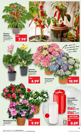 Kaufland Prospekt woche 20 Seite 5