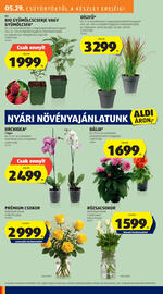 ALDI akciós újság Oldal 10