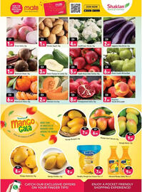 Shaklan catalogue Page 2