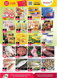 Shaklan catalogue Page 3