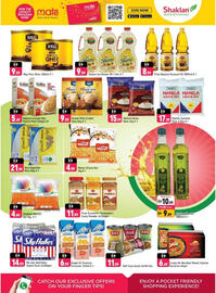 Shaklan catalogue Page 6