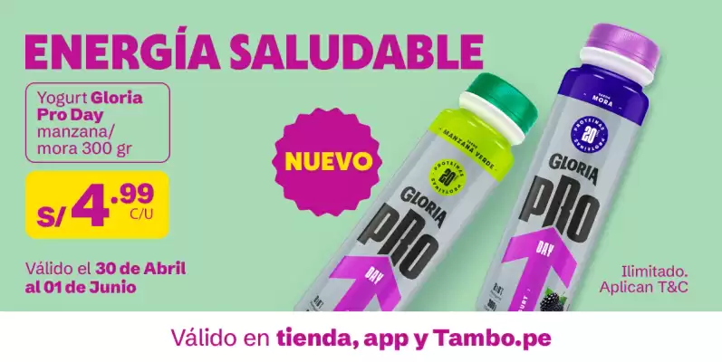 Catálogo Tambo (válido hasta 1-06)