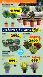 ALDI akciós újság hét 21 Oldal 31