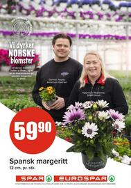 Spar Kundeavis uke 21 Side 17