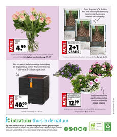 Intratuin folder week 21 Pagina 12