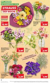 Kaufland DE folder week 21 Pagina 18