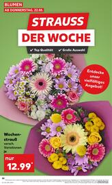 Kaufland DE folder week 21 Pagina 50