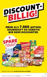 Kaufland DE folder week 21 Pagina 51