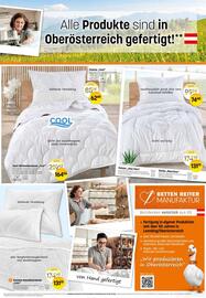 Reiter Flugblatt Seite 5