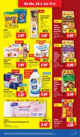 Lidl Prospekt woche 22 Seite 13