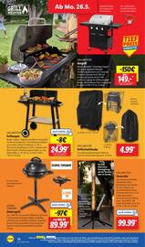 Lidl Prospekt woche 22 Seite 22