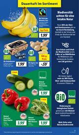 Lidl Prospekt woche 22 Seite 3