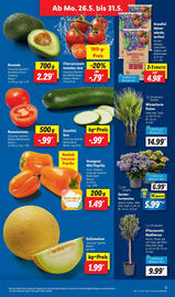 Lidl Prospekt woche 22 Seite 3
