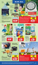 Lidl Prospekt woche 22 Seite 39