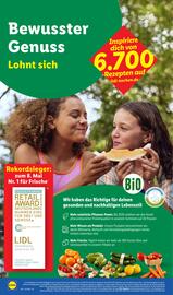 Lidl Prospekt woche 22 Seite 6