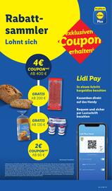 Lidl Prospekt woche 22 Seite 62