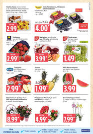 Marktkauf Prospekt Seite 5