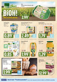 Marktkauf Prospekt Seite 8