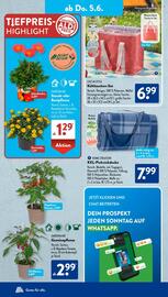 Aldi Süd Prospekt woche 23 Seite 13