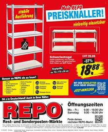 Repo Markt Prospekt woche 21 Seite 16
