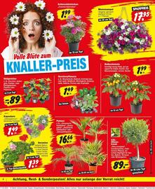 Repo Markt Prospekt woche 21 Seite 4
