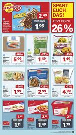 Famila Nord Ost Prospekt woche 21 Seite 13