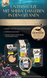 Famila Nord Ost Prospekt woche 21 Seite 31