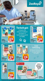 REWE Prospekt woche 21 Seite 21