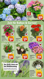 REWE Prospekt woche 21 Seite 24