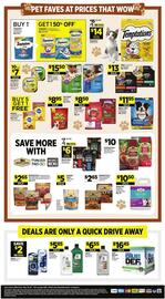 Dollar General Weekly Ad Page 15