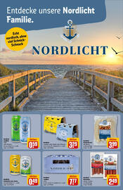 REWE Prospekt woche 21 Seite 16