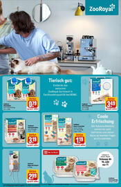 REWE Prospekt woche 21 Seite 29