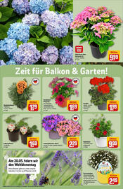 REWE Prospekt woche 21 Seite 34