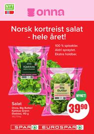 Eurospar Kundeavis uke 21 Side 16