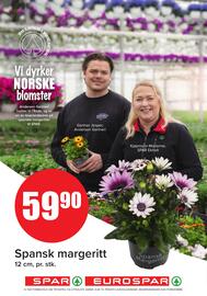 Eurospar Kundeavis uke 21 Side 17