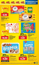 Lidl gazetka Strona 31