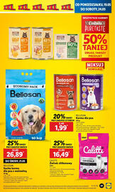 Lidl gazetka Strona 45