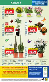 Lidl gazetka Strona 61