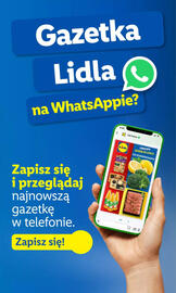 Lidl gazetka Strona 67