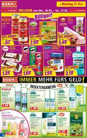 Norma Flugblatt woche 22 Seite 8