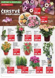 Kaufland leták týden 21 Strana 6