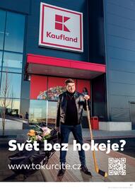 Kaufland leták týden 21 Strana 87