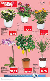 Catalog Kaufland săptămâna 21 Pagină 26